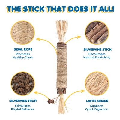 Show full view: SunGrow Silvervine Teething Chew Sticks Dental Treat & Feather Cat Toy with Catnip, 5 count slide 4 of 7