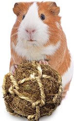 SunGrow Small-Pet Guinea Pig & Chinchilla Coconut Fiber Activity Chew Play Ball Fun Treat & Cage Entertainment