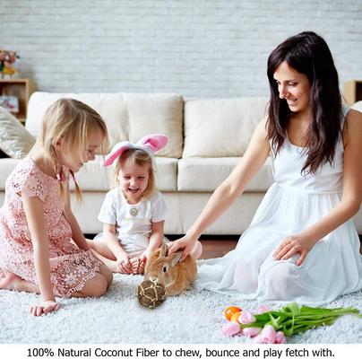 Show full view: SunGrow Small-Pet Guinea Pig & Chinchilla Coconut Fiber Activity Chew Play Ball Fun Treat & Cage Entertainment slide 4 of 6