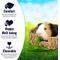 Show in main carousel: SunGrow Small-Pet Guinea Pig & Chinchilla Natural Chew Comfy Sleeping Basket Grass Bed slide 3 of 8