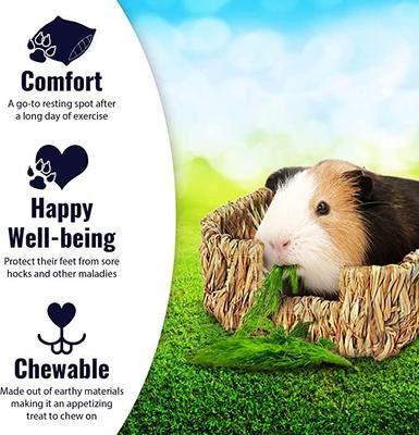 Show full view: SunGrow Small-Pet Guinea Pig & Chinchilla Natural Chew Comfy Sleeping Basket Grass Bed slide 3 of 8
