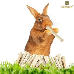 SunGrow Sweet Bamboo Chew Sticks Small-Pet Dental Treats & Snacks, 3.5-oz bag slide 2 of 5