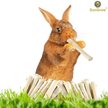 Show in main carousel: SunGrow Sweet Bamboo Chew Sticks Small-Pet Dental Treats & Snacks, 3.5-oz bag slide 2 of 6