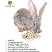 Show in main carousel: SunGrow Sweet Bamboo Chew Sticks Small-Pet Dental Treats & Snacks, 3.5-oz bag slide 3 of 6