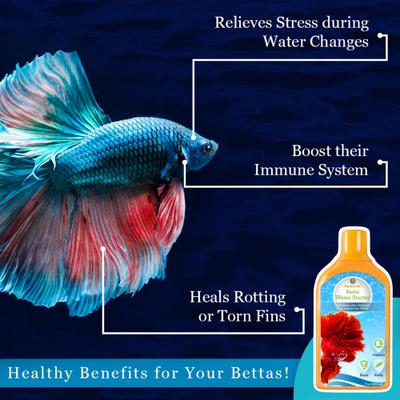 Show full view: SunGrow Tap Water Conditioner with Beneficial Bacteria for Freshwater Aquarium Treatments Detoxify Fish Tank Ammonia Remover, 6.7-oz bottle slide 4 of 6