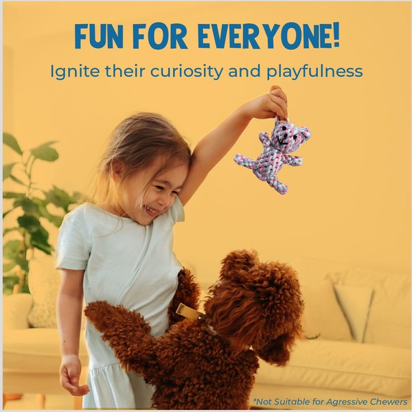 Show full view: SunGrow Teddy Bear Dog & Small Pet Dental Chews Toy, 5-in slide 3 of 7
