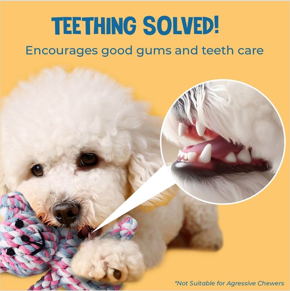 Show full view: SunGrow Teddy Bear Dog & Small Pet Dental Chews Toy, 5-in slide 4 of 7