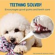 Show in main carousel: SunGrow Teddy Bear Dog & Small Pet Dental Chews Toy, 5-in slide 4 of 7