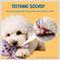 Show in main carousel: SunGrow Teddy Bear Dog & Small Pet Dental Chews Toy, 5-in slide 4 of 7
