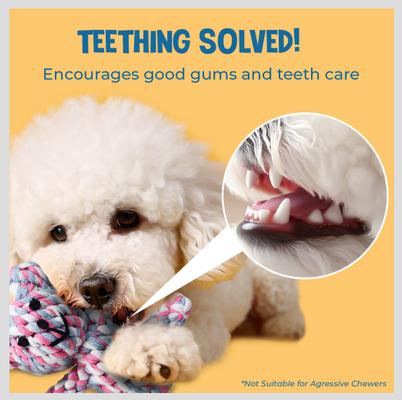 Show full view: SunGrow Teddy Bear Dog & Small Pet Dental Chews Toy, 5-in slide 4 of 7