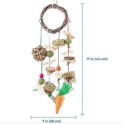 SunGrow Teeth Grinding Cage Hanging Rabbit Chew Toys slide 2 of 3