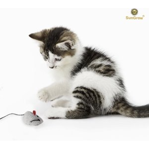 SunGrow Teething Chews Cat & Ferret Chase & Kicker Mouse Plush Toy, 5 count