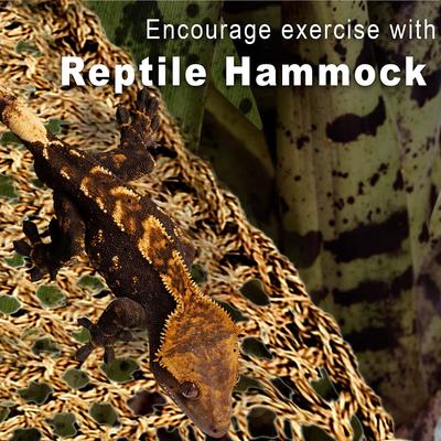 Show full view: SunGrow Triangular Silicone Climbing & Basking Lizard & Bearded Dragon Reptile Hammock slide 3 of 6