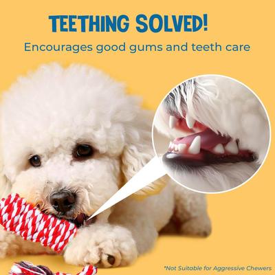 Show full view: SunGrow Tug of War Cat & Dog Rope Pull Toy for Boredom & Stimulating, Dental Chew Teething Knot, 5 count slide 4 of 8