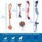 Show in main carousel: SunGrow Tug of War Cat & Dog Rope Pull Toy for Boredom & Stimulating, Dental Chew Teething Knot, 5 count slide 7 of 8