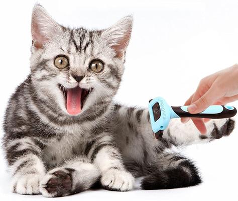 Show full view: SunGrow Undercoat Deshedding Brush for Short Haired Dog & Cat Shedding Control & Grooming Tool slide 2 of 5