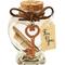 Show in main carousel: SunGrow Urn for Ashes Pet Hair & Nail Keepsake Cat & Dog Memory Jar slide 1 of 6