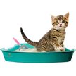 Show in main carousel: SunGrow Wide & Deep Metal Cat Litter Scooper, Pink slide 3 of 7