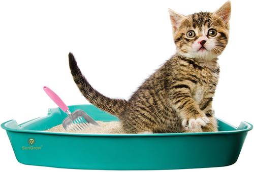 Show full view: SunGrow Wide & Deep Metal Cat Litter Scooper, Pink slide 3 of 7