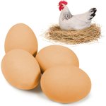 Best Chicken Nesting Boxes & Nest Eggs