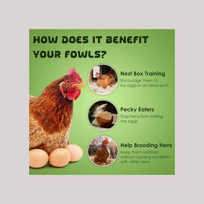 Show full view: SunGrow Wooden Fake Eggs for Laying Hens in Chicken Coop Train to Lay inside Nest Box, Beige, 4 count slide 3 of 7