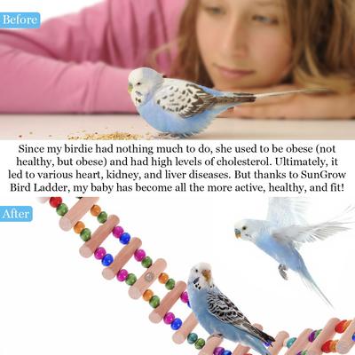 Show full view: SunGrow Wooden Swing & Perch Parakeet & Budgie Ladder Bridge slide 4 of 7