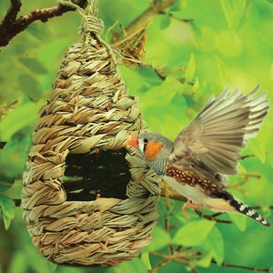 SunGrow Woven Nest, Food Feeder, Cage Accessory, Outdoor Hanging Finch & Hummingbird Bird House, 1 Count