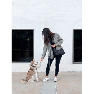 Sunny Tails 4-in-1 Convertible Hands Free Cloud Dog Leash, 8.5-ft long, 5/8-in wide, Ember Black