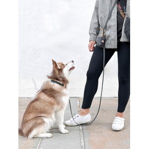 Sunny Tails 4-in-1 Convertible Hands Free Cloud Dog Leash, 8.5-ft long, 5/8-in wide, Ember Black