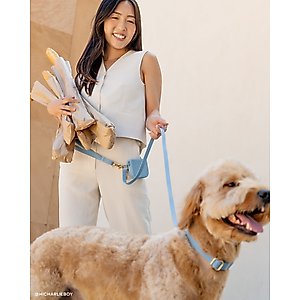 Sunny Tails 4-in-1 Convertible Hands Free Cloud Dog Leash, 8.5-ft long, 5/8-in wide, Malibu Blue