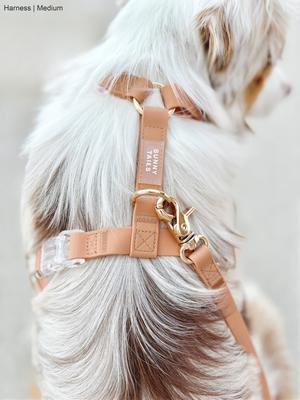 Show full view: Sunny Tails Cloud Lite Waterproof Dog Harness, Chai Brown, Large: 26 to 38-in chest slide 5 of 9