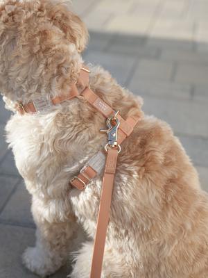 Show full view: Sunny Tails Cloud Lite Waterproof Dog Harness, Chai Brown, X-Small: 12 to 16-in chest slide 2 of 8