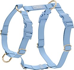 Sunny Tails Cloud Lite Waterproof Dog Harness, Malibu Blue, Medium: 20 to 29-in chest