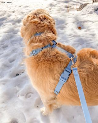 Show full view: Sunny Tails Cloud Lite Waterproof Dog Harness, Malibu Blue, Medium: 20 to 29-in chest slide 4 of 11