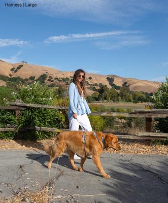 Show full view: Sunny Tails Cloud Lite Waterproof Dog Harness, Malibu Blue, Small: 15 to 21-in chest slide 5 of 11