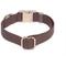 Show in main carousel: Sunny Tails Cloud Waterproof Dog Collar, Espresso Brown, Medium: 12 to 18-in neck, 3/4-in wide slide 2 of 7