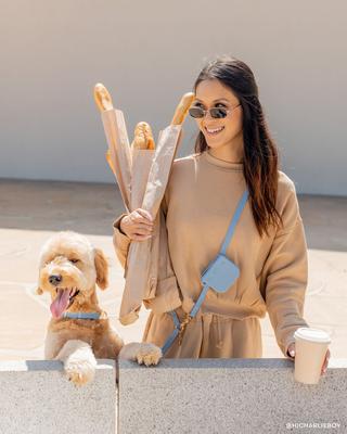 Show full view: Sunny Tails Cloud Waterproof Dog Collar, Espresso Brown, Small: 8 to 12-in neck, 5/8-in wide slide 4 of 7