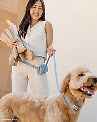 Sunny Tails Cloud Waterproof Dog Collar, Malibu Blue, Small: 8 to 12-in neck, 5/8-in wide slide 2 of 6
