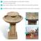 Show in main carousel: Sunnydaze Decor 2-Tier Beveled Flower Birdbath Water Fountain slide 5 of 10