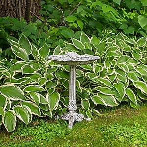 Sunnydaze Decor Bird & Blossom Cast Aluminum Metal Bird Bath, Antique Grey, 13-in