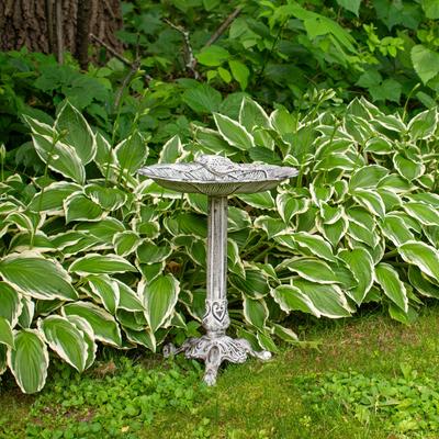 Show full view: Sunnydaze Decor Bird & Blossom Cast Aluminum Metal Bird Bath, Antique Grey, 13-in slide 6 of 7