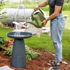 Sunnydaze Decor Gleeful Garden Metal Bird Bath, Matte Blue slide 2 of 7