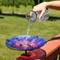 Show in main carousel: Sunnydaze Decor Spring Crocus Deck-Mounted Staked Glass Bird Bath, Purple, 10.5-in slide 6 of 9