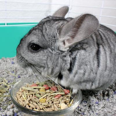 Show full view: Sunseed Vita Prima Chinchilla Food, 3-lb bag slide 4 of 6