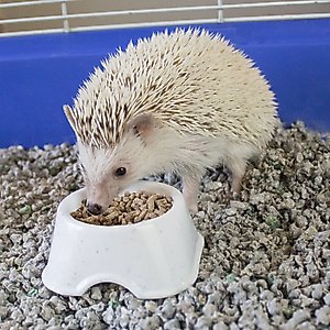 Sunseed Vita Prima High-Protein Poultry, Seafood & Mealworm Food Blend Vitamin-Fortified Hedgehog Food, 1.56-lb bag