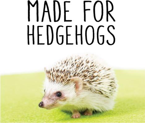 Show full view: Sunseed Vita Prima Wigglers & Berries Trail Mix Snack Hedgehog & Small-Pet Treat, 2.5-oz bag slide 5 of 6