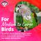 Show in main carousel: Super Bird Creations 4 Way Forager Bird Toy slide 6 of 9