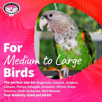 Show full view: Super Bird Creations 4 Way Forager Bird Toy slide 6 of 9