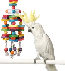 Super Bird Creations 4 Way Play Bird Toy, X-Large