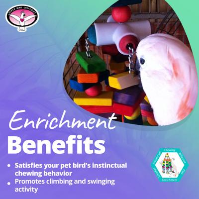 Show full view: Super Bird Creations 4 Way Play Bird Toy, X-Large slide 5 of 11